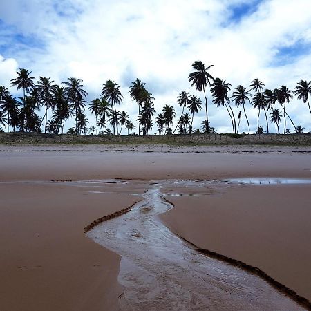 Rosagash Paradise - Praia De Santo Antonio ماتا دي ساو جواو المظهر الخارجي الصورة
