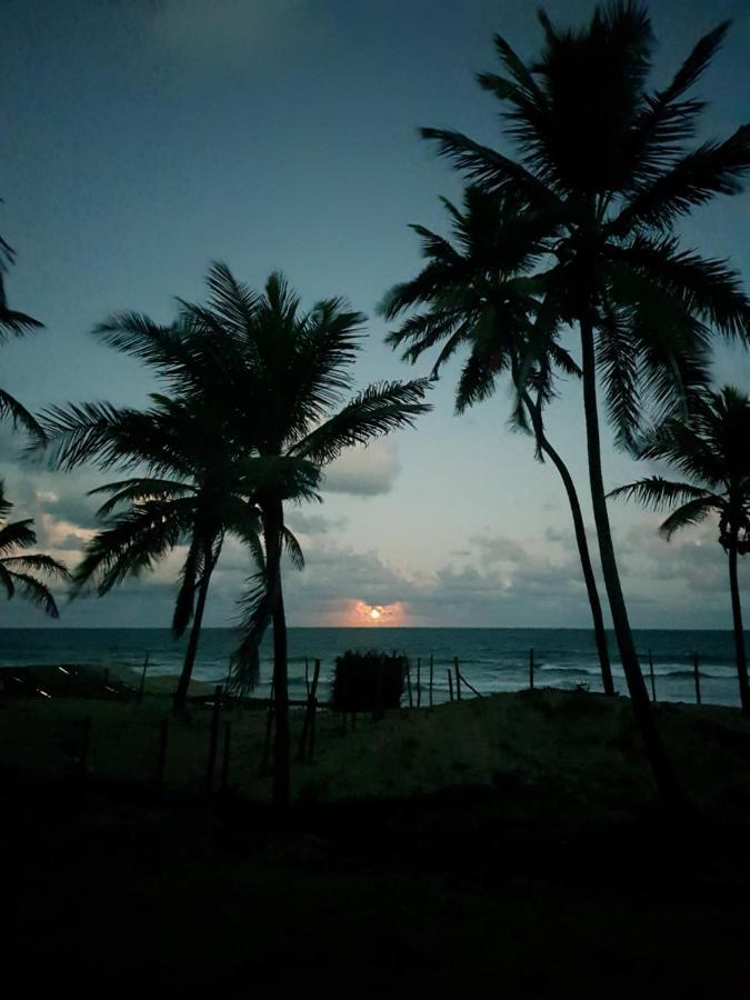 Rosagash Paradise - Praia De Santo Antonio ماتا دي ساو جواو المظهر الخارجي الصورة