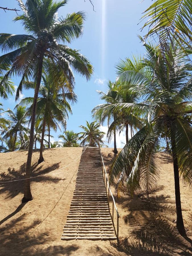 Rosagash Paradise - Praia De Santo Antonio ماتا دي ساو جواو المظهر الخارجي الصورة