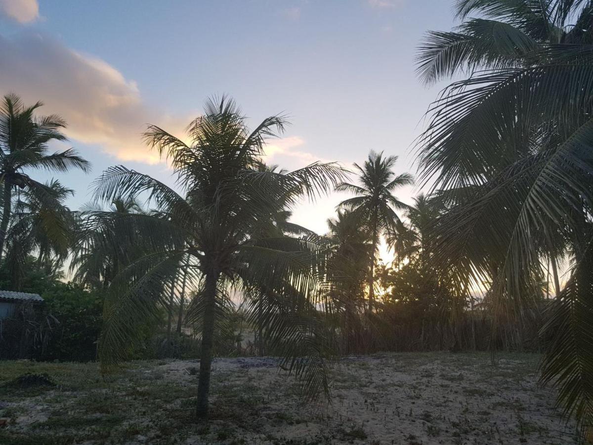 Rosagash Paradise - Praia De Santo Antonio ماتا دي ساو جواو المظهر الخارجي الصورة